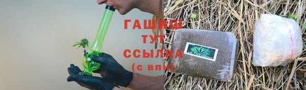 прущие грибы Верхний Тагил